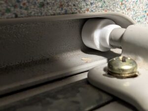 Rodamiento deslizando por la guía